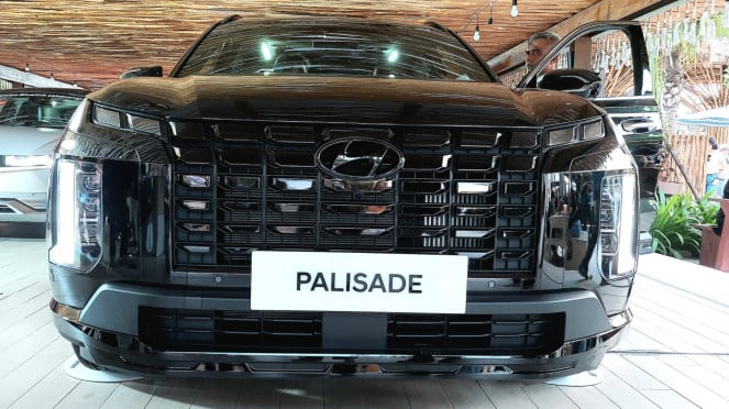 Palisade XRT