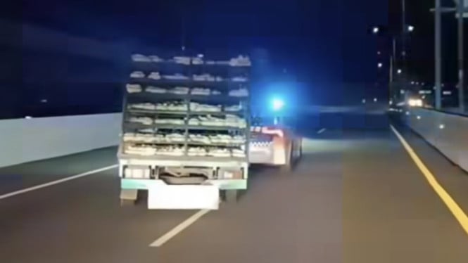 Polisi vs Truk Ayam, Kejar-kejaran di Tol