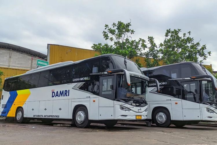 Idul Adha, DAMRI, promo tiket bus, Damri, Liburan sekolah, Ada Diskon Spesial DAMRI untuk Idul Adha dan Liburan Sekolah