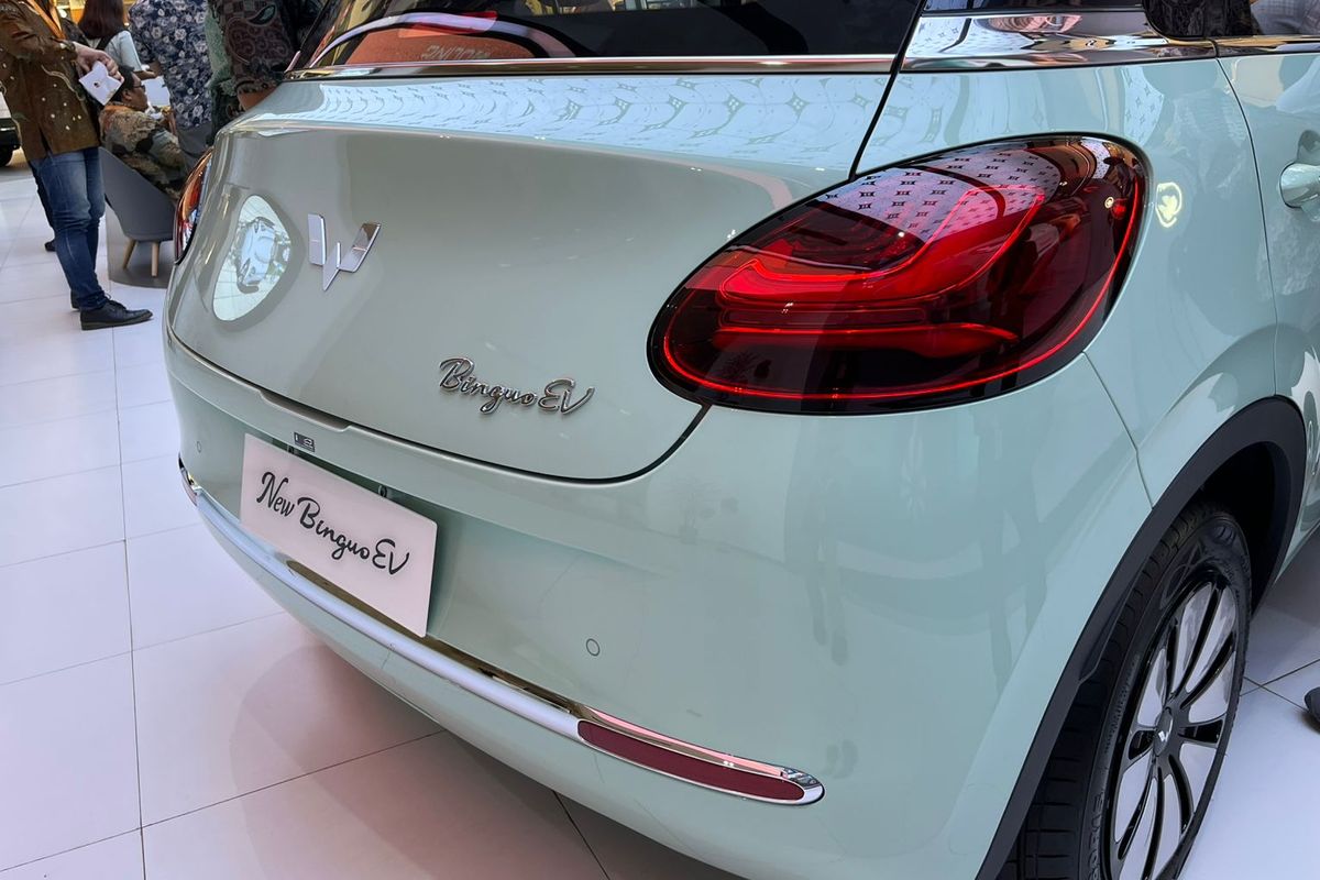 YLKI Buka Suara Soal Petisi Pemilik Wuling Binguo EV