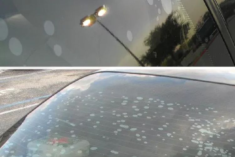 kaca film, mobil, banjirjakarta, tips, Jangan Sepelekan Lumpur Banjir, Bisa Merusak Kaca Film dari Dalam