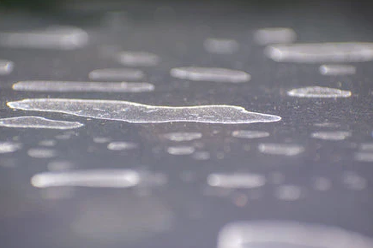 Perawatan Mobil, Noda gas air mata, membersihkan mobil, estetika kendaraan, Petunjuk Membersihkan Gas Air Mata Dari Mobil Secara Aman