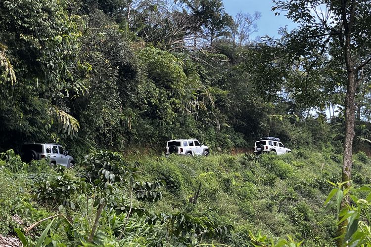 persiapan off-road, kesiapan pengemudi, posisi duduk yang tepat, kenali fitur kendaraan, Persiapan Wajib Sebelum Off-road, Jangan Main Gas ke Alam Liar