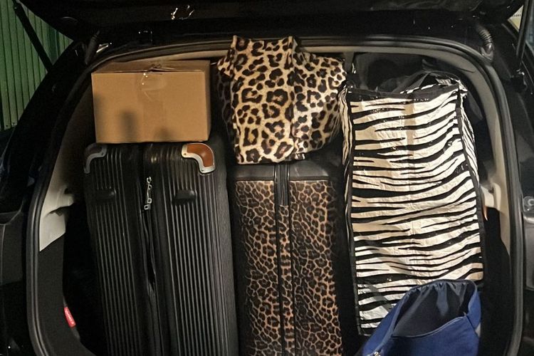 MG ZS, ZS EV, pemilik mobil, kabin mobil, desain mobil, Morris Garage, Cerita Pengguna MG ZS Selama 4 Tahun Pemakaian