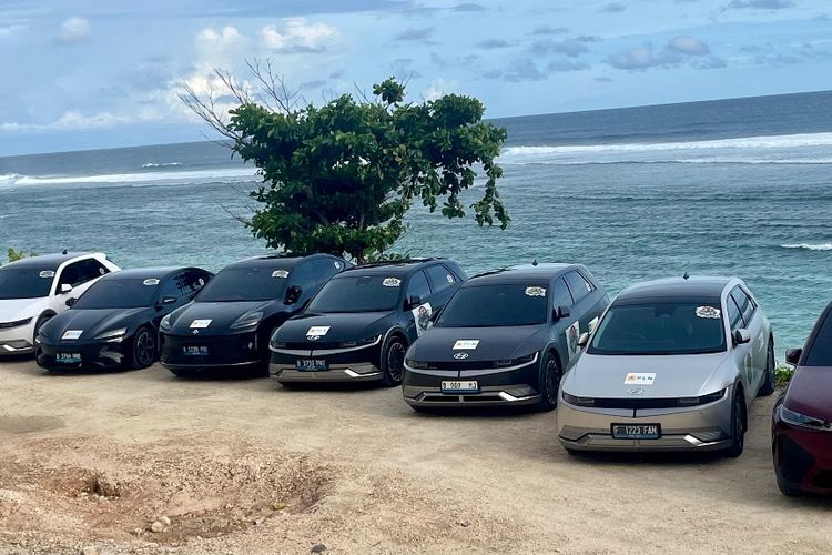 pajak kendaraan, Wuling, pedagang mobil bekas, Populer Otomotif, artikel terpopuler, mobil listrik bekas, Binguo EV, BYD Atto 2, Pedagang Mobkas Susah Jualan dan BYD Atto 2