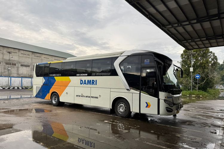 Bus DAMRI, rute baru, Damri, Damri Pontianak, Pontianak-Palangkaraya, Bus DAMRI Pontianak-Palangkaraya, DAMRI Buka Rute Langsung Pontianak - Palangkaraya Tanpa Transit
