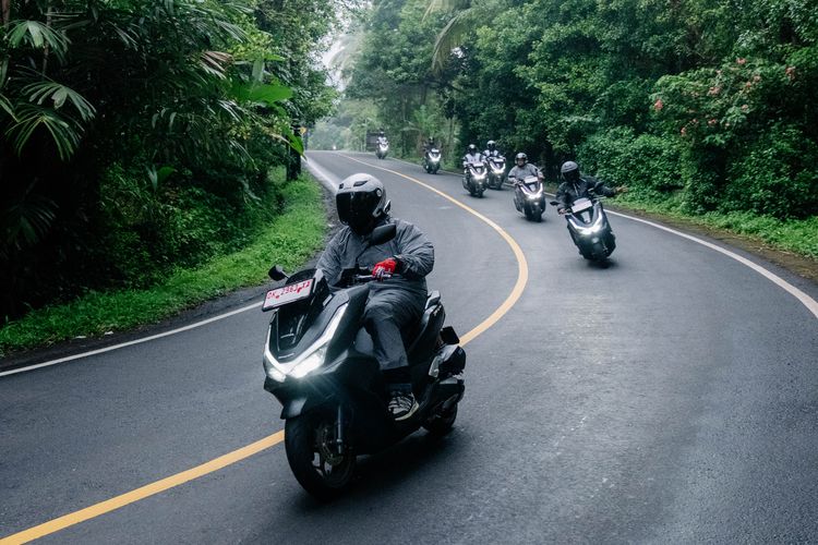 safety riding, tips touring, hewan menyeberang, sapi menyeberang, ancaman pengendara, Video Petaka Balap Liar Tabrak Sapi yang Menyeberang
