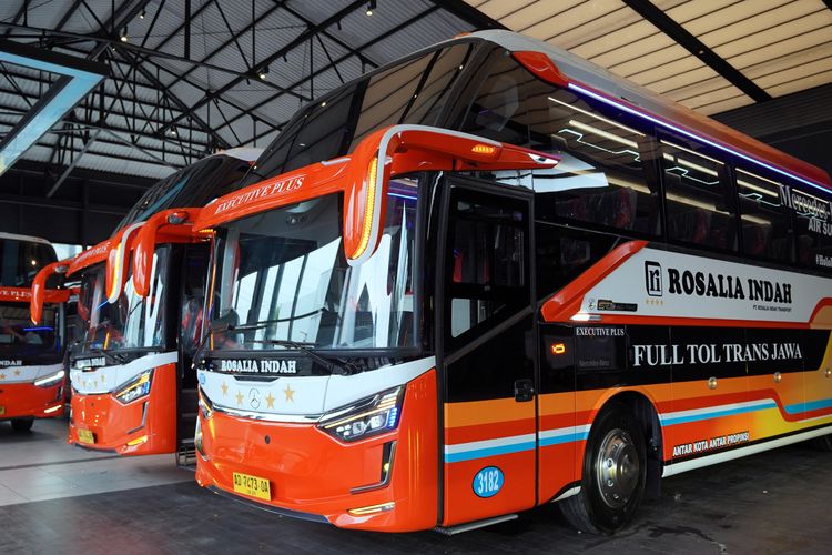 Denny Martin, bus Rosalia Indah, bus rosalia indah, keluhan penumpang, kecoa dalam bus, Pengalaman Buruk Penumpang Bus: Kecoa dan Kurangnya Respon