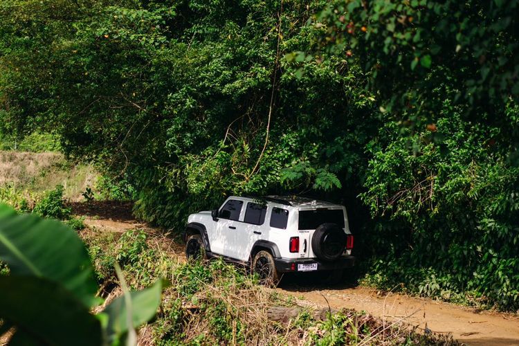 pengalaman off road, GWM Tank 300 Diesel, SUV Diesel Indonesia, Performa dan Kenyamanan, Pengalaman Off Road dengan GWM Tank 300 Diesel di Cisadon Sentul