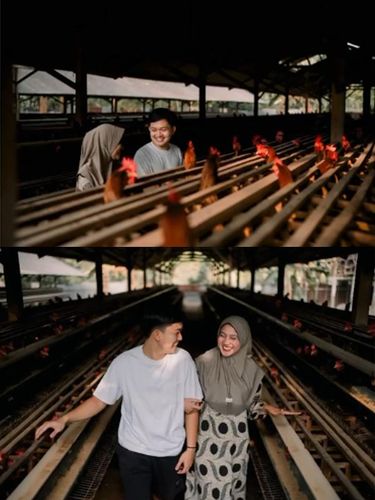 Viral Pasangan Pemotretan Prewedding di Kandang Ayam, Hasil Foto Tak Terduga