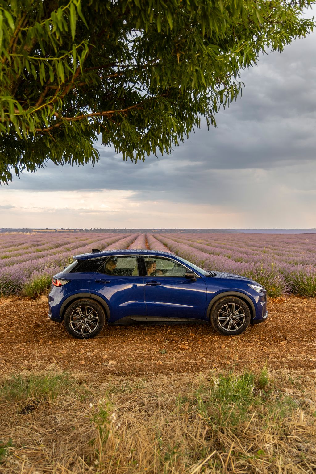 motor1-lexus-lbx-lavanda-124