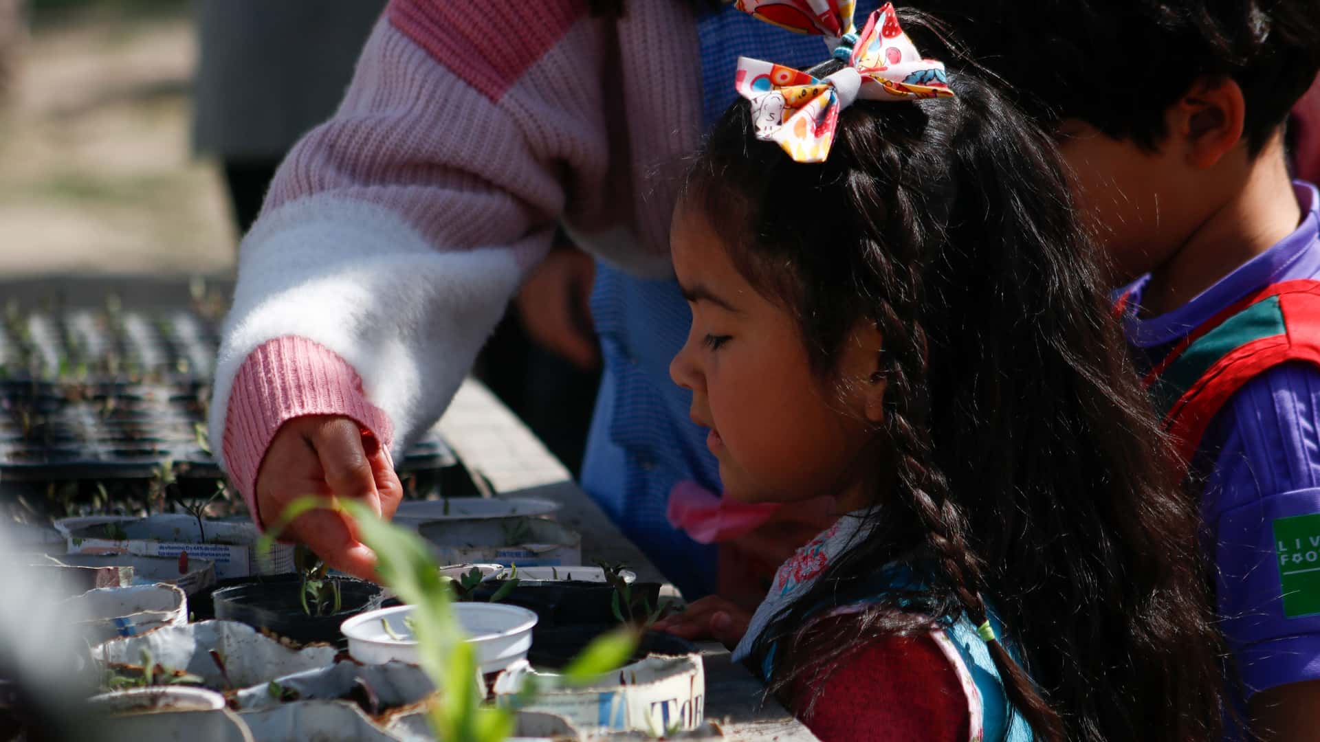 Ford re inauguró la escuela de Paso de Sapo