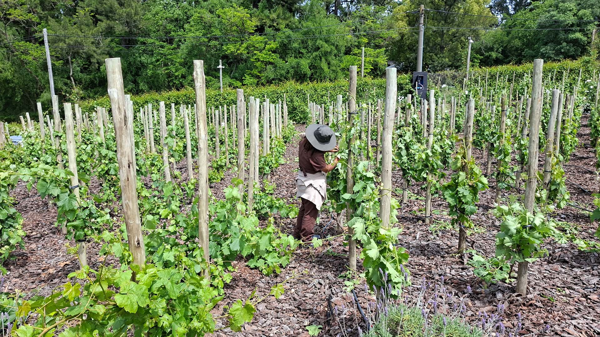 Apuntes del lanzamiento del Peugeot 408