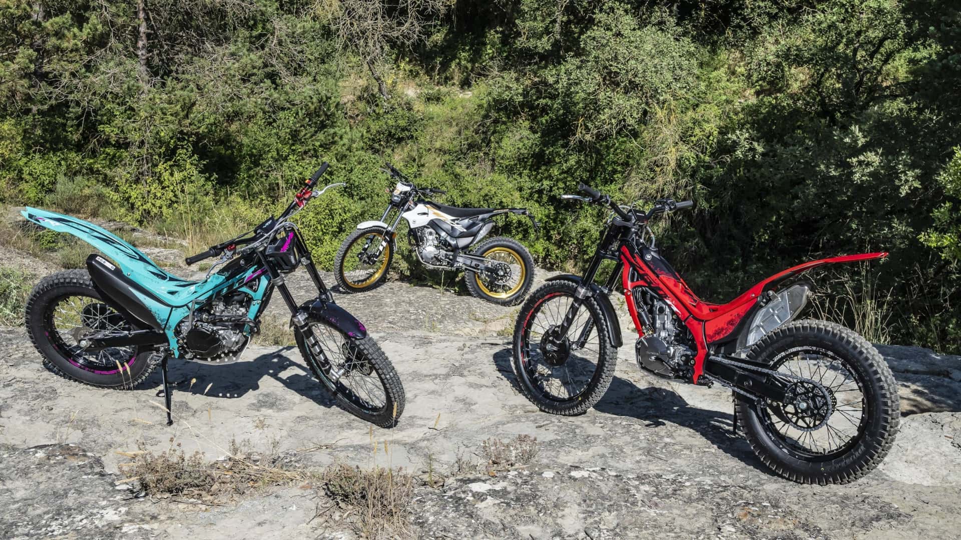 2026 Montessa - Estilo de vida