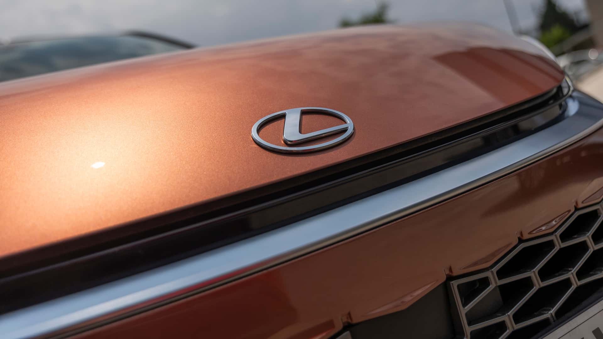 Motor1 Experience by Lexus, campos de lavanda