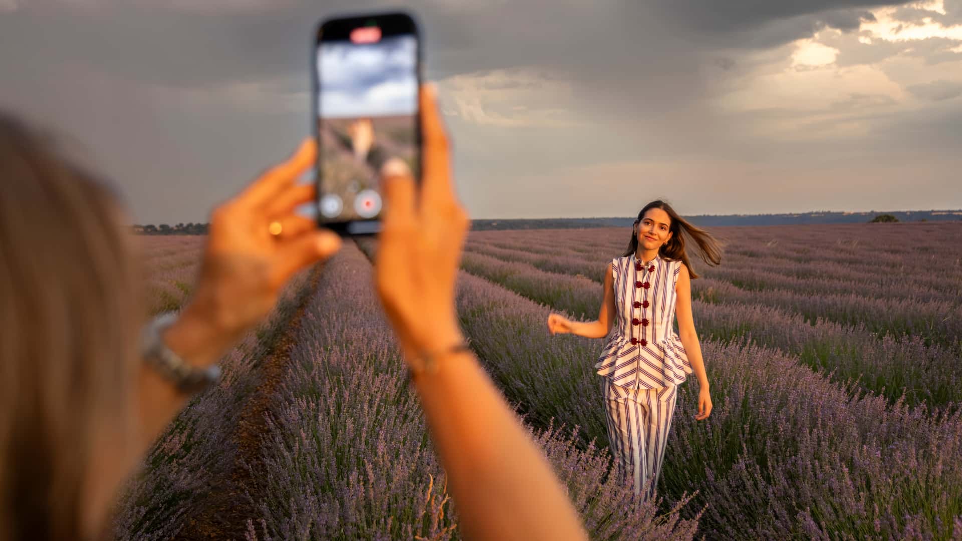 Motor1 Experience by Lexus, campos de lavanda