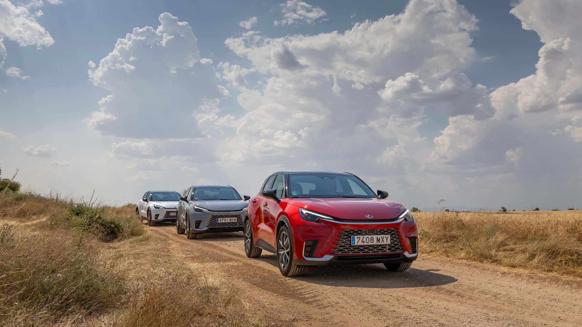 Motor1 Experience by Lexus, campos de lavanda