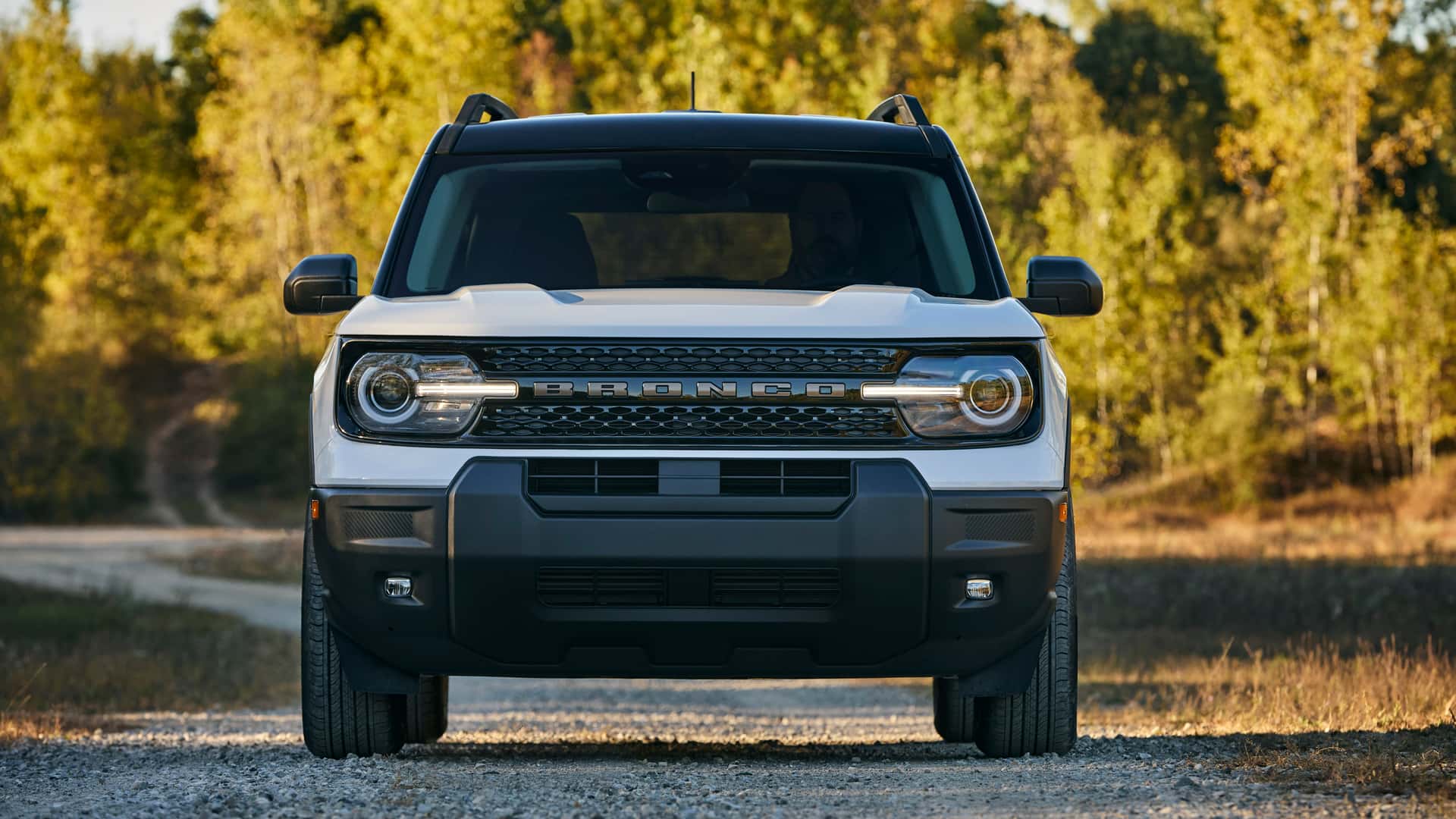 2026 Ford Bronco Sport Bronze Package