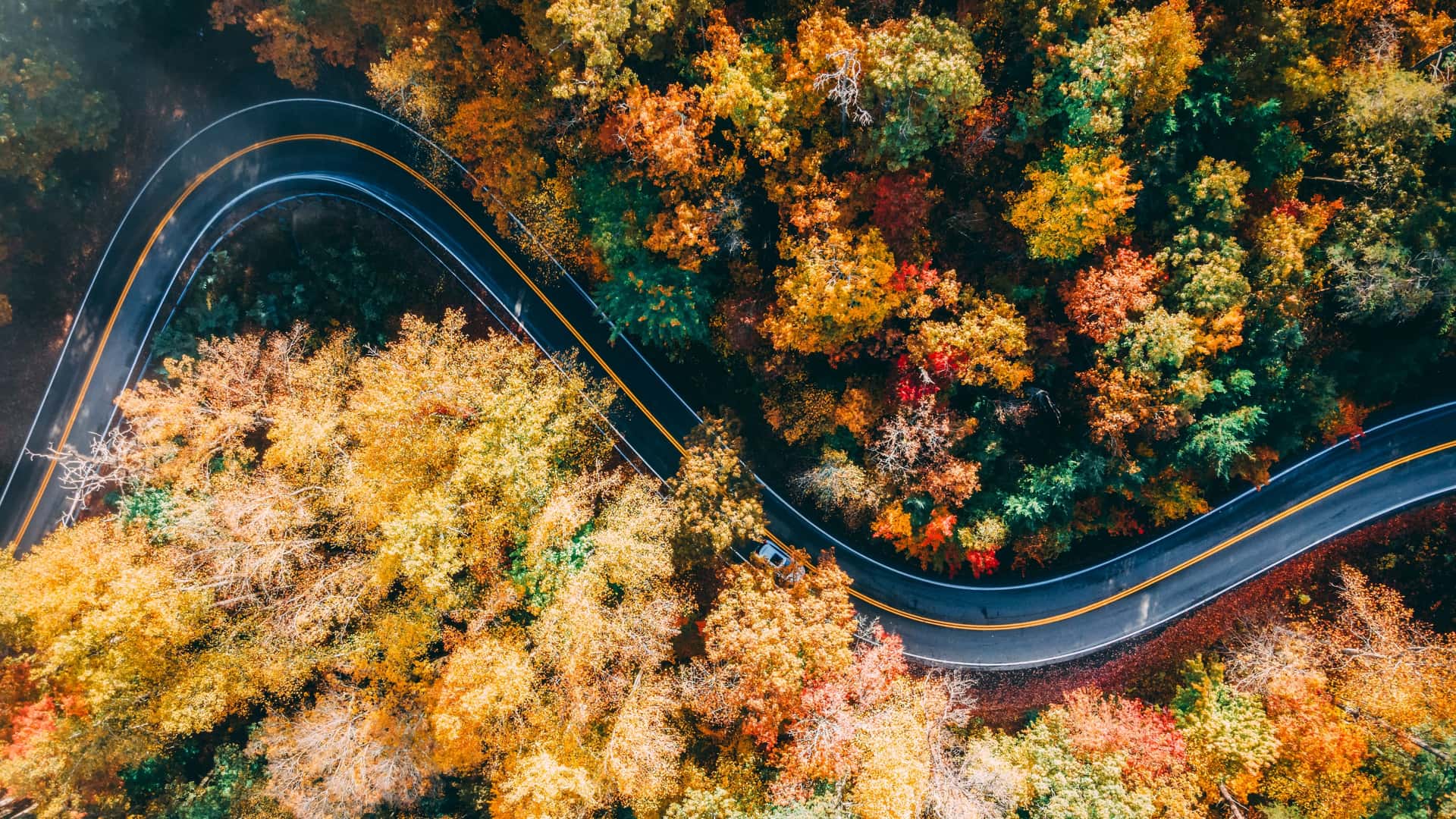 Tail of the Dragon Isn't Overrated. It Just Isn't the Same