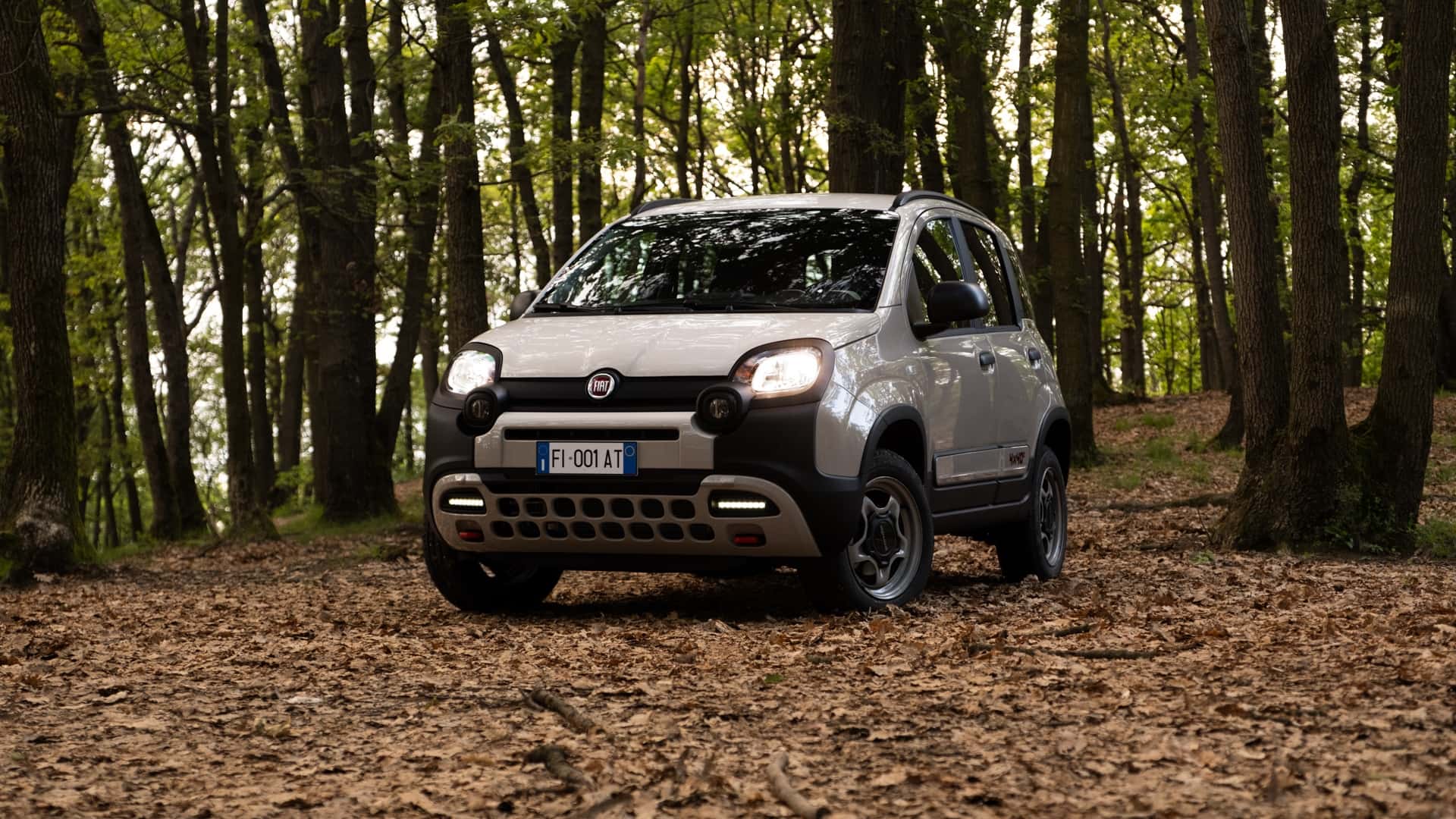 <p>Fiat Panda</p>