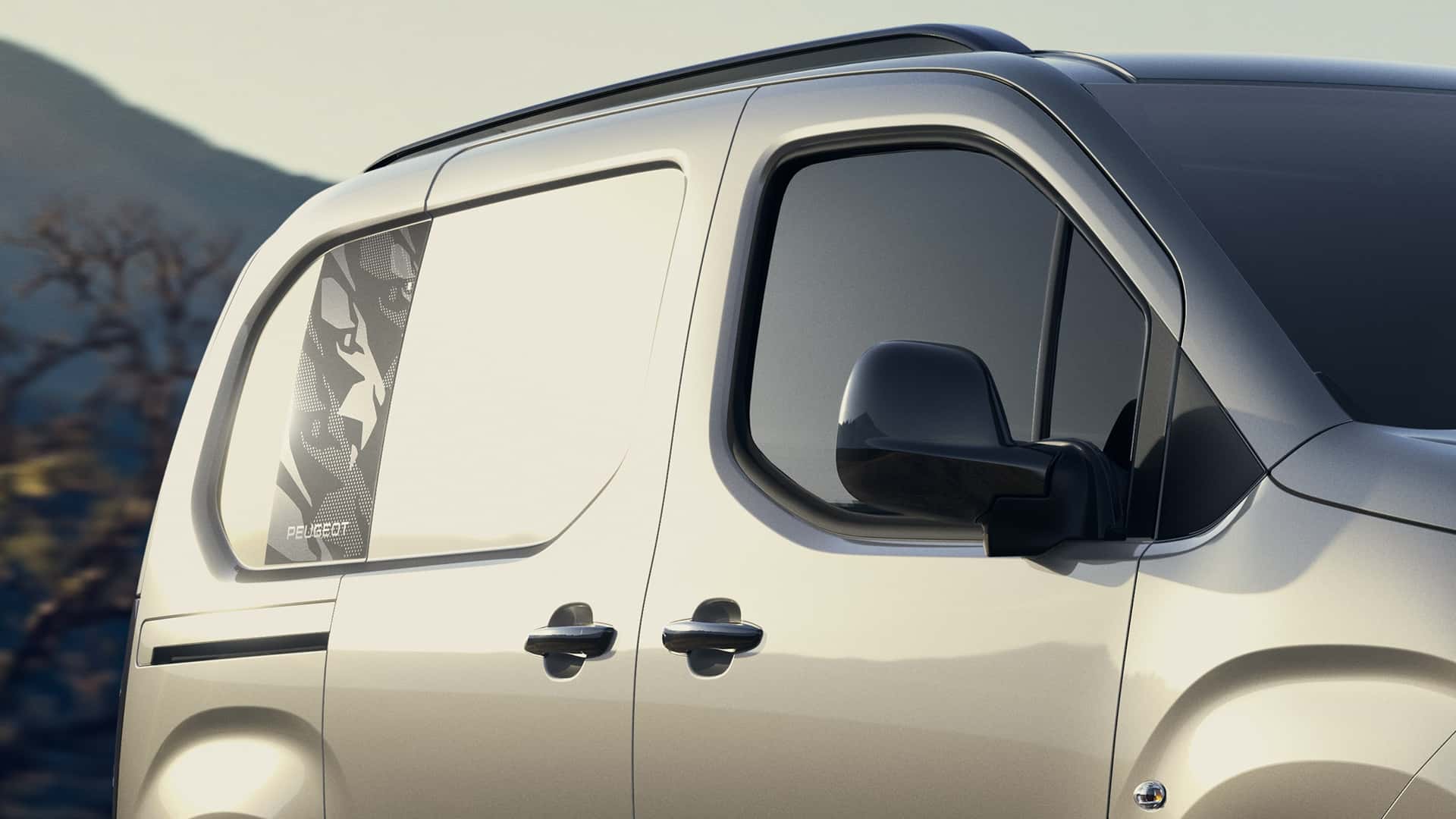 Compétences de Peugeot Partner Pro