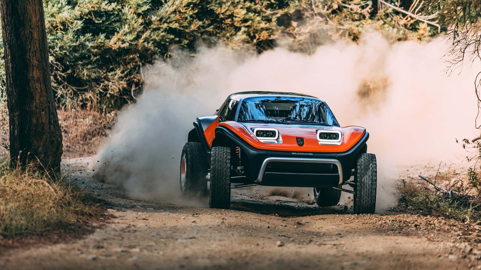 Meyers Manx Tuthill Porsche LFG