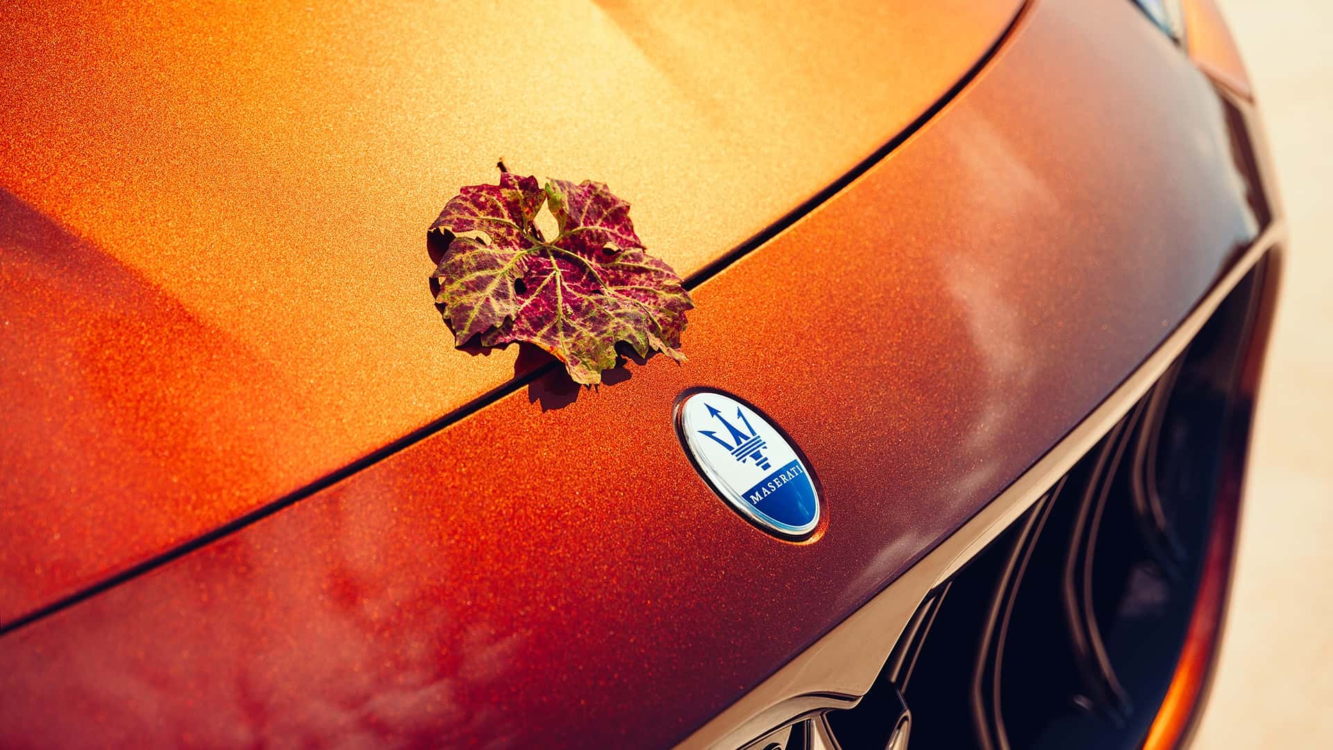 Maserati Grecale Tributo Il Bruciato