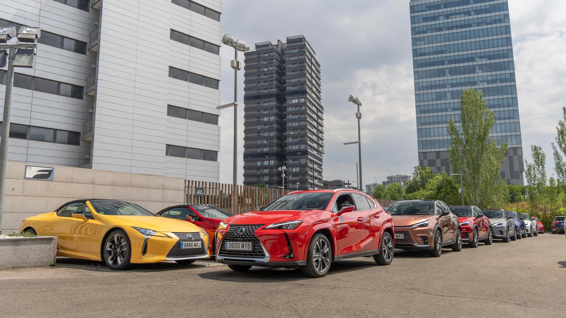 Motor1 Experience by Lexus, campos de lavanda