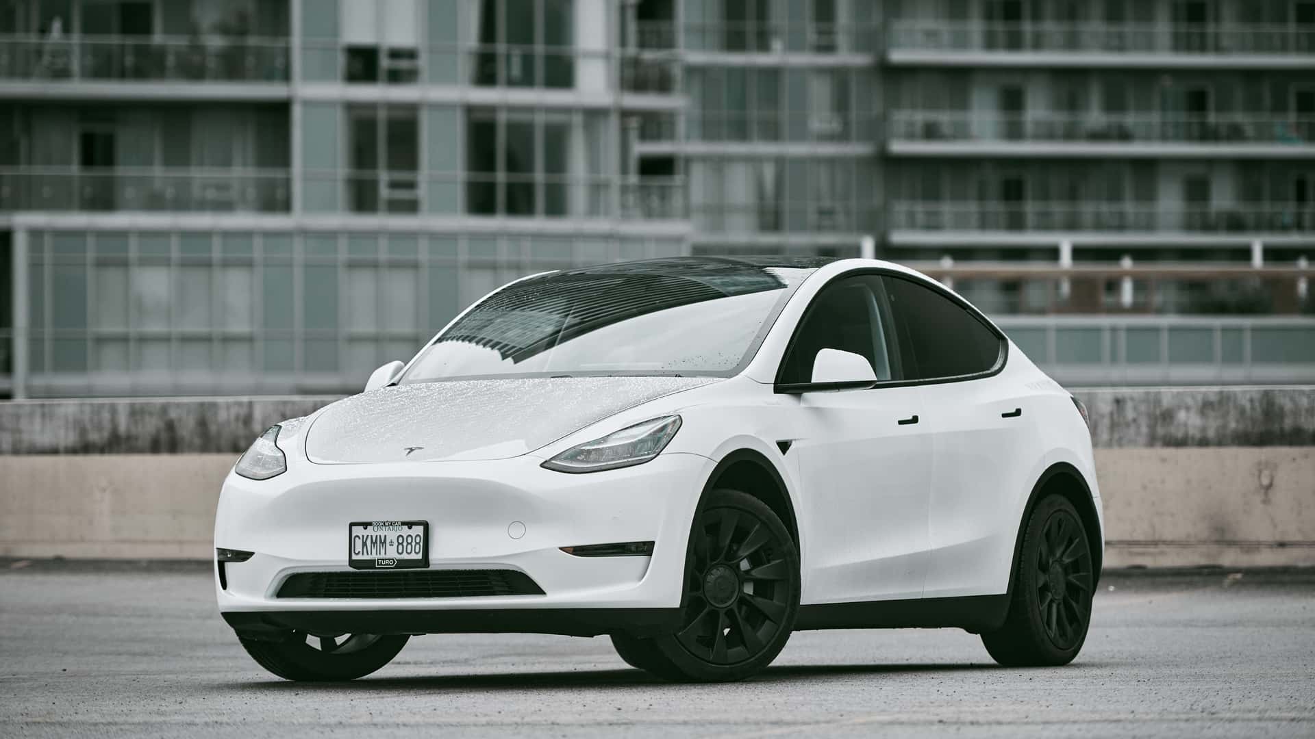 Tesla Model Y (Amérique du Nord, avril 2020)