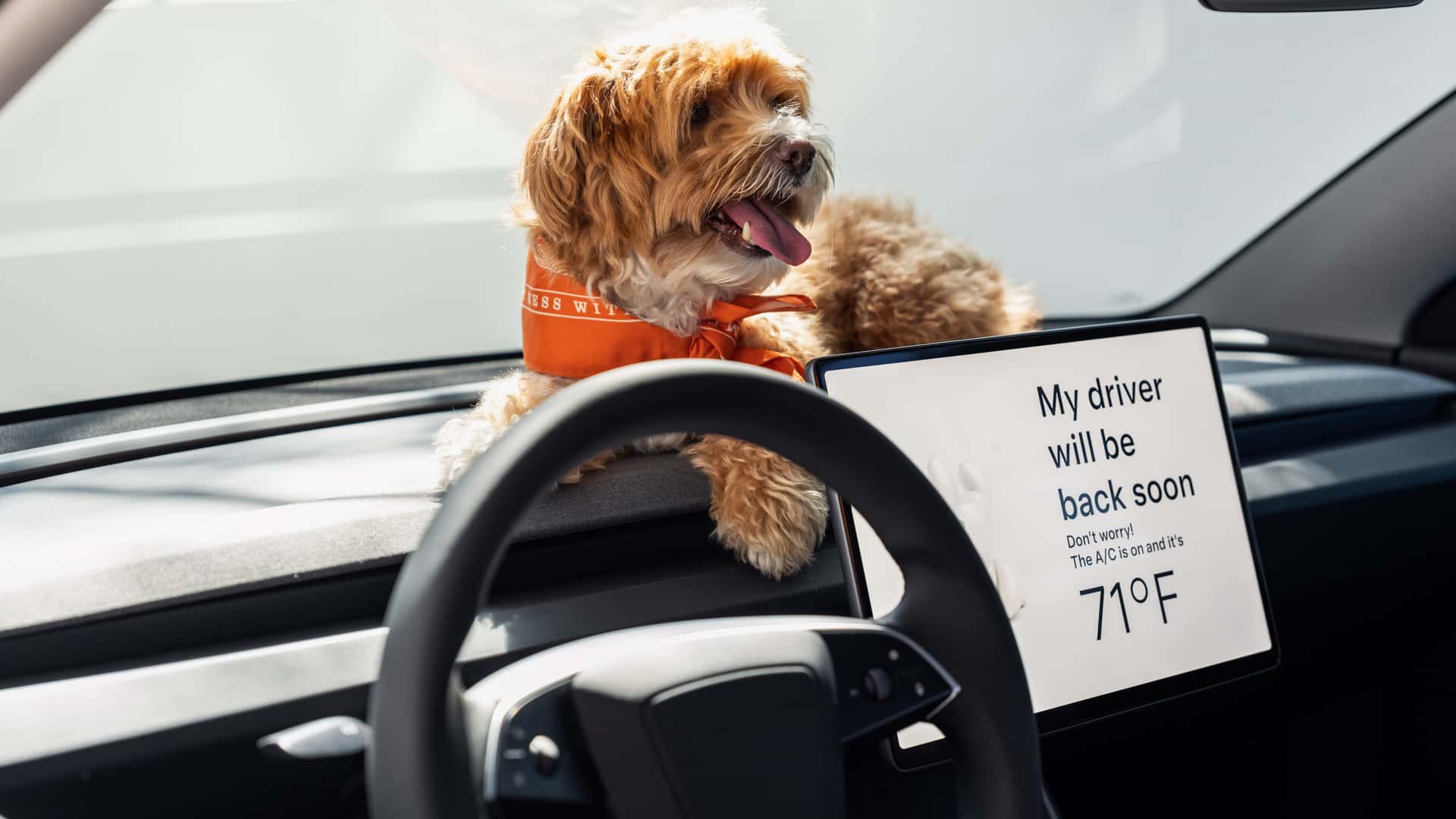 Tesla Model 3 Standard 2026