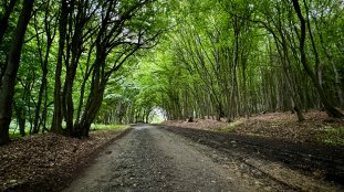 BMW Motorrad GS Trophy 2026 Romania R12 GS - 22