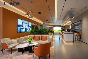 DENZA 1920 x 1280 - Paul Tan article - 2