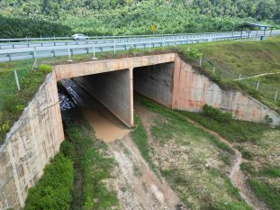 Wildlife crossing eco viaduct underpass
