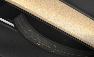 Mahindra BE 6 Batman Edition 13