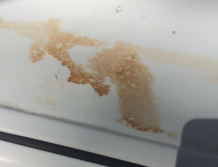 parkir, parkir motor, motor bekas, cara parkir motor, kenapa jangan parkir motor di bawah pohon, risiko parkir motor di bawah pohon, Ini Sebabnya Jangan Parkir Motor Bekas Kesayangan di Bawah Pohon