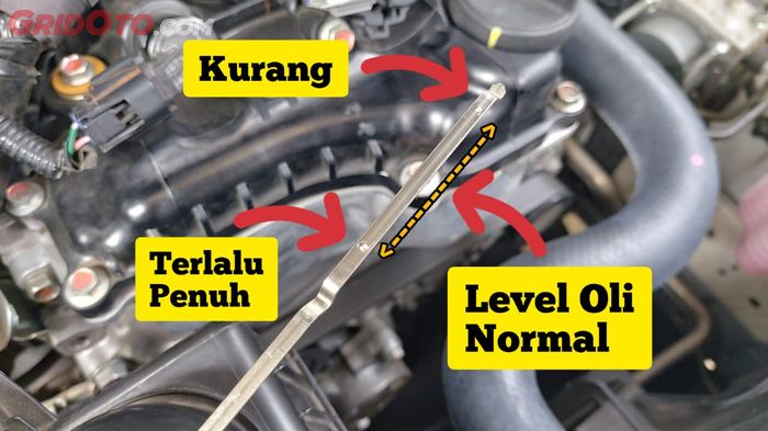 oli mobil, cek oli mesin, dipstick, Dipstick Oli Transmisi, Dipstick Oli, Baru Tahu, Begini Cara Membaca Dipstick Oli Mobil yang Benar!
