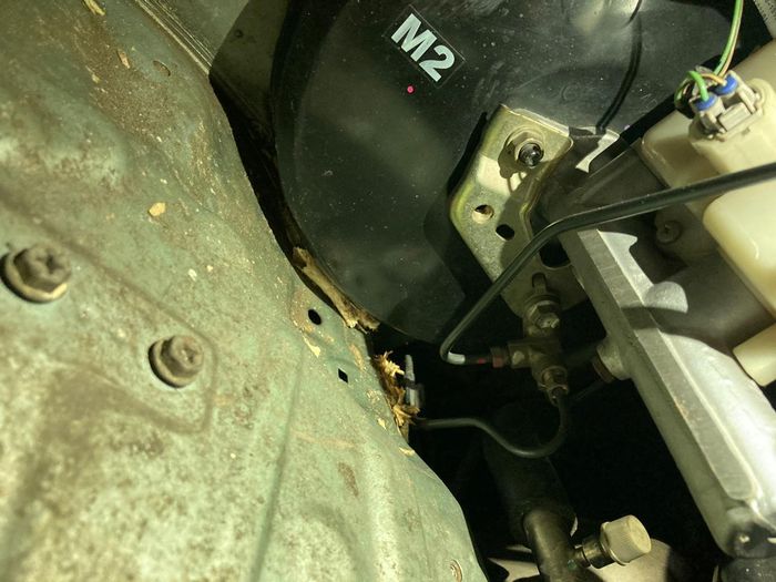 tikus, Kabel Bodi, kabel bodi motor, cara mencegah kabel mobil digigit tikus, cara mencegah kabel digigit tikus, kenapa tikus suka mengigit kabel, Ternyata Begini Cara Mudah Mencegah Kabel Mobil Bekas Digigit Tikus