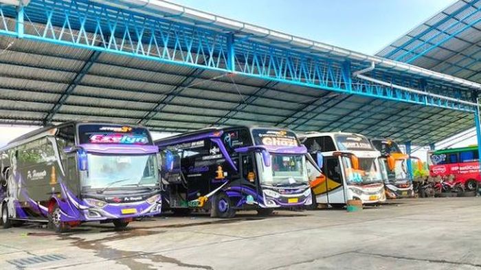 PO Haryanto, royalti musik, kabin bus, Bus Haryanto, Gaduh Royalti LMK, Kabin Bus PO Haryanto Kini Sunyi Tak Ada Musik dan TV