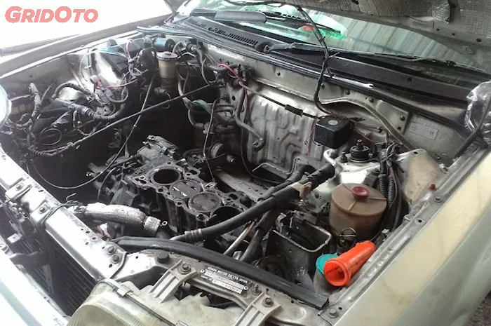 Cegah Tikus Masuk ke Ruang Mesin Mobil, Ini Langkah dan Tips nya!