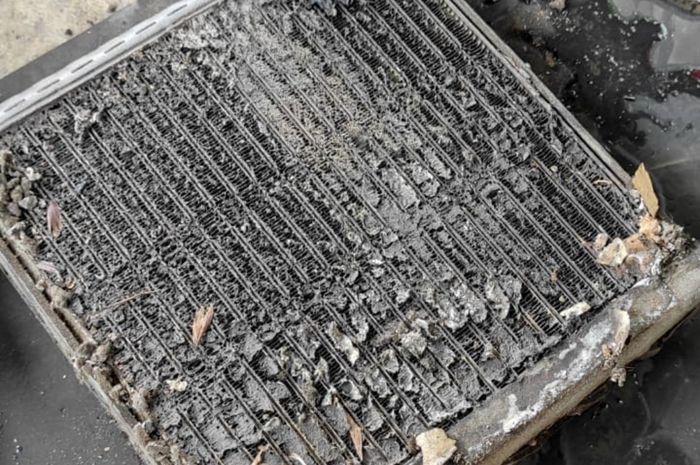 Ini Penyebab Endapan lendir Terbentuk di Evaporator AC Mobil Bekas