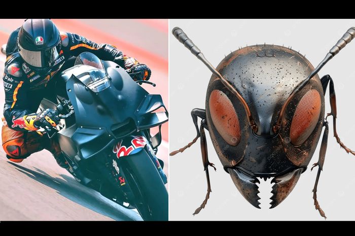 Fairing Baru KTM Mirip Kepala Semut, Jangan Remehkan Wajah Lucunya