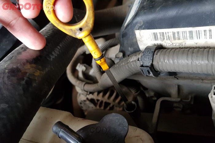 Ini Cara Yang Benar Pakai Dipstick Oli Mobil, Banyak Yang Masih Keliru