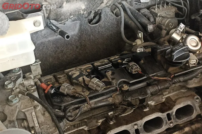 mobil, tikus, mesin, mesin mobil, ruang mesin, Cegah Tikus Masuk ke Ruang Mesin Mobil, Ini Langkah dan Tips nya!