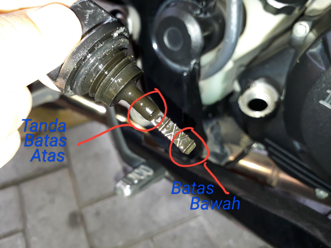 oli mesin, motor bekas, cara cek oli mesin, cara cek oli, Dipstick Oli mesin, cara cek oli mesin pakai dipstick, Cara Yang Benar Cek Volume Oli Mesin Motor Bekas dari Dipstik Tutup Oli