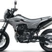 2025 Kawasaki KLX230 S/SM launched in Malaysia, priced at RM23,000 for S, RM23,600 for SM
