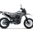 2025 Kawasaki KLX230 S/SM launched in Malaysia, priced at RM23,000 for S, RM23,600 for SM